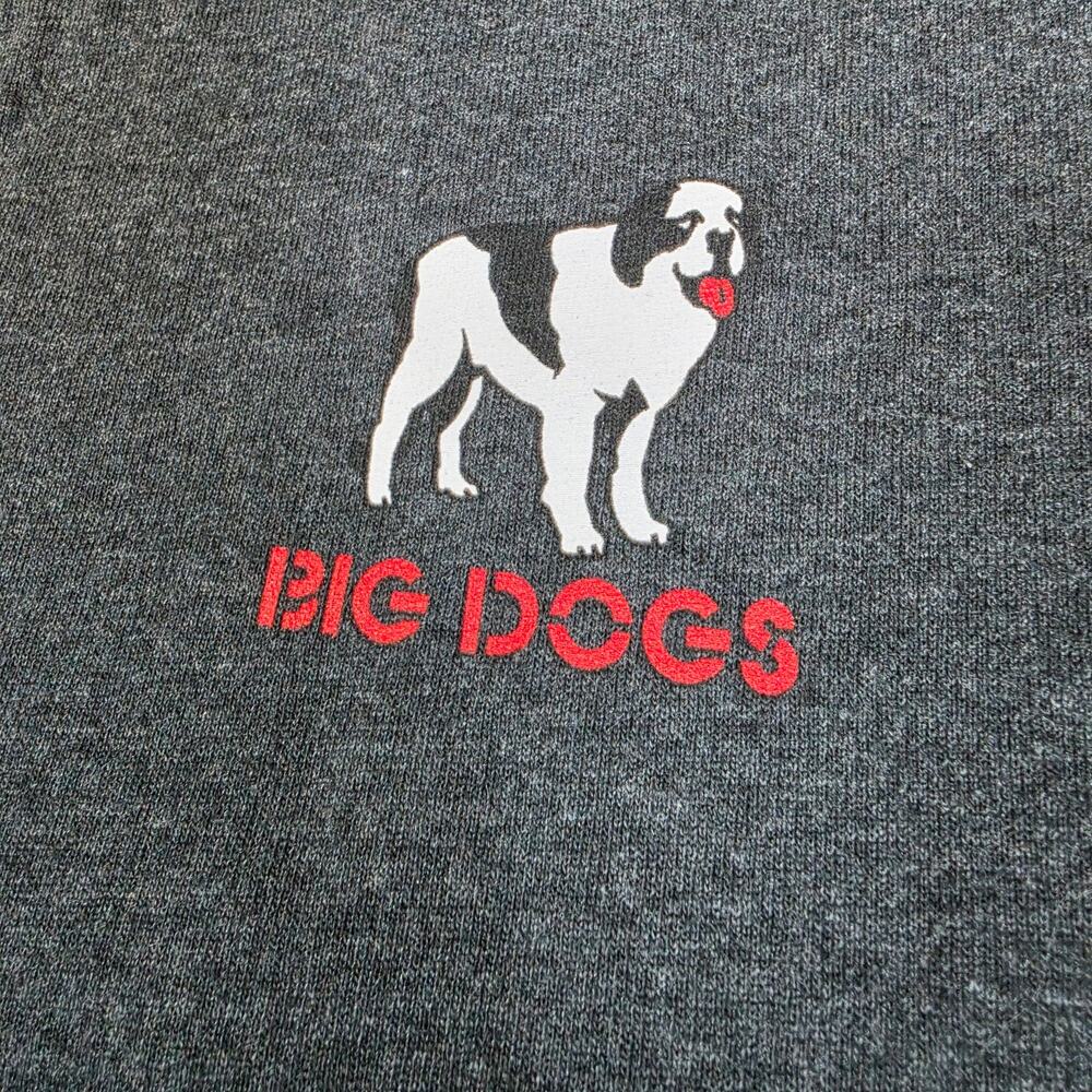 Big Dogs Country T-Shirt XXL Gray Johnny Cash Willie Nelson Hank Williams Brooks - Picture 4 of 10